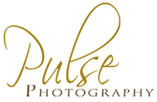 pulse_logo.png